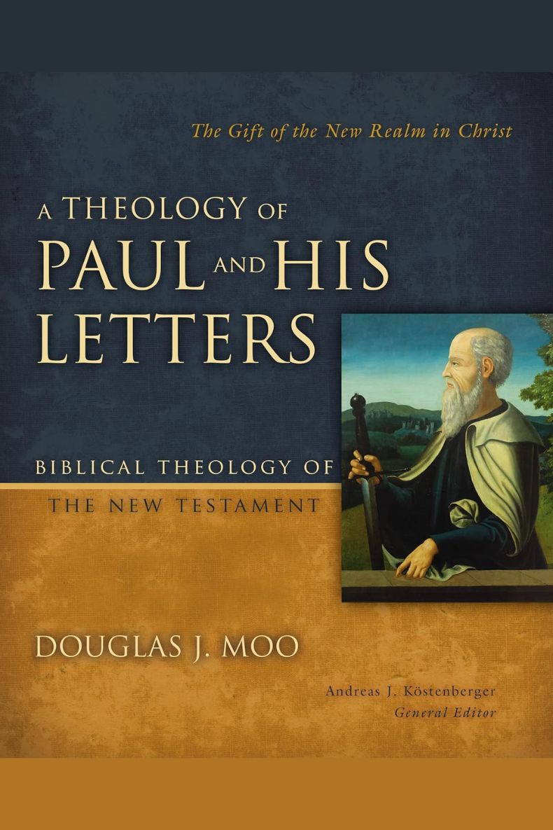 Review of A Theology of Paul and His Letters